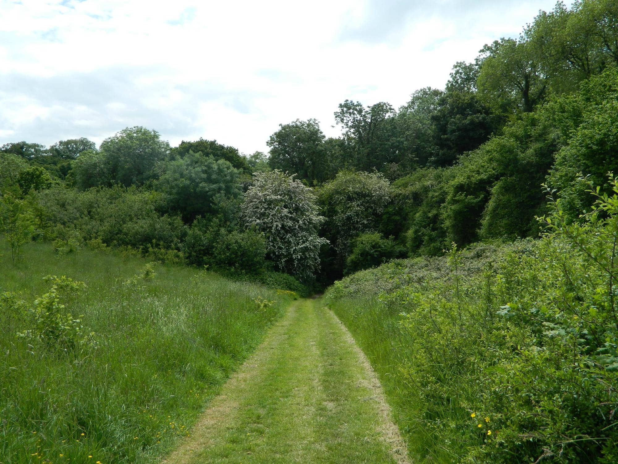 Children's Playground