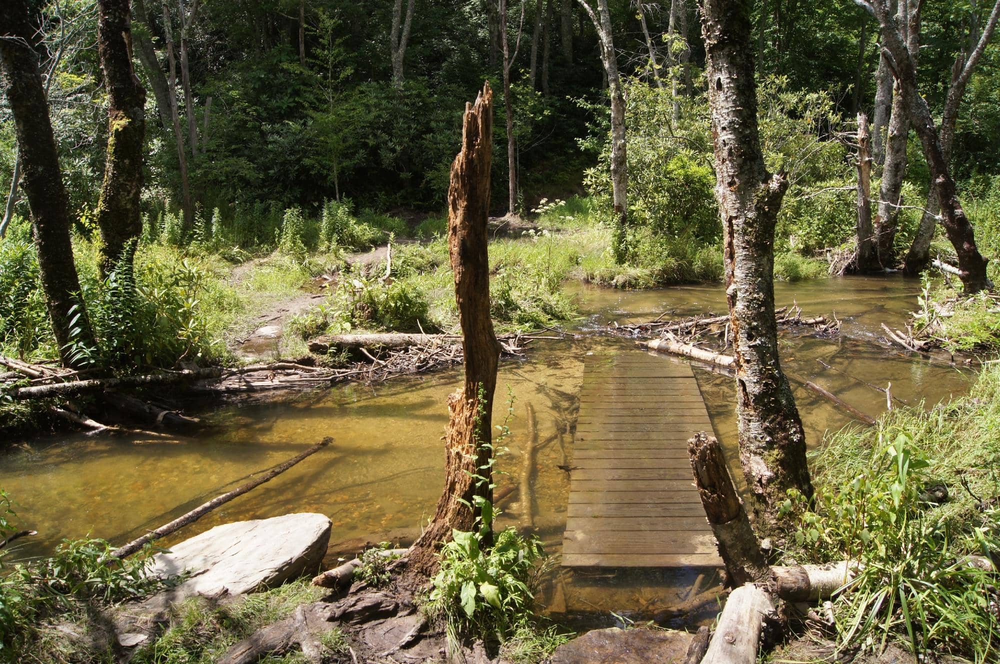 Boone Fork Trail