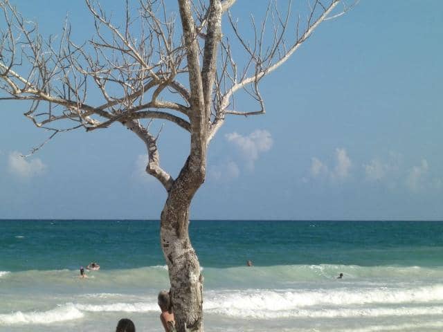 Vertical photo