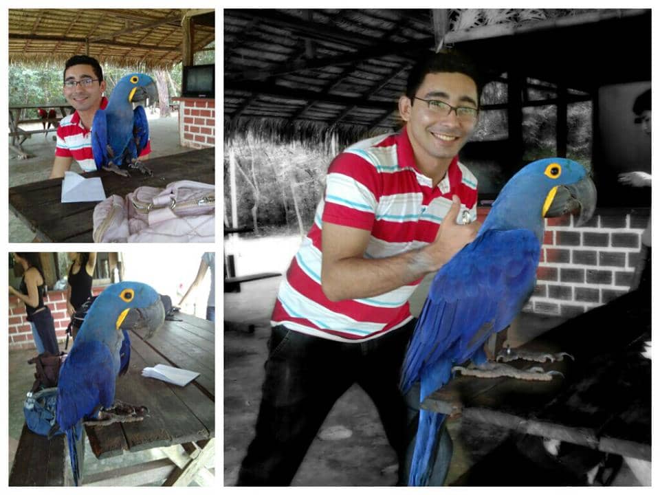 Diverse Birdlife