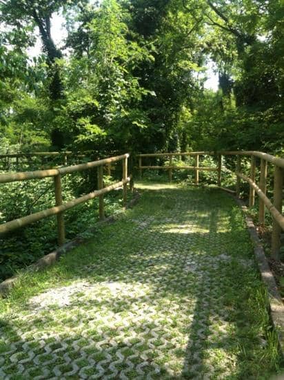 Nature Walks