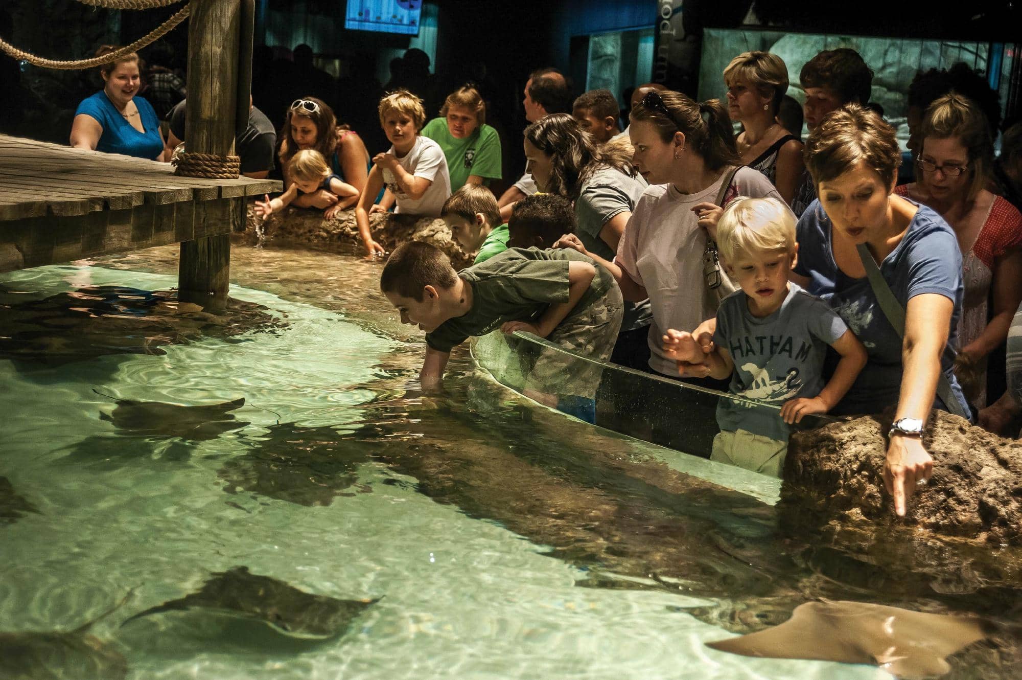 Prehistoric Passages