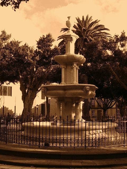Vertical photo