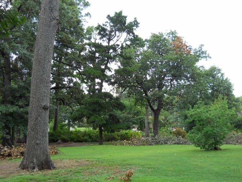 The Teaching Garden