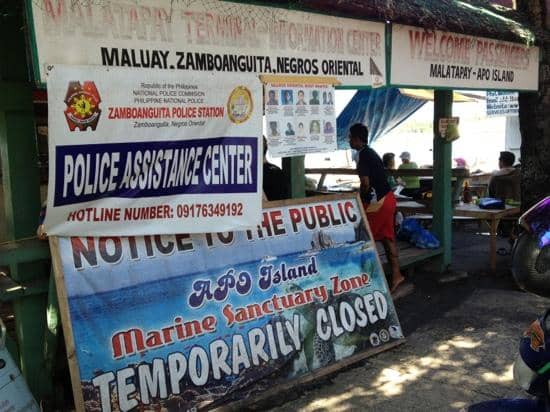 Apo Island Boat Trips