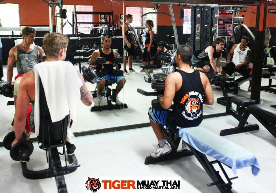 World-Class Muay Thai Training