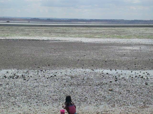 Thames Estuary Views