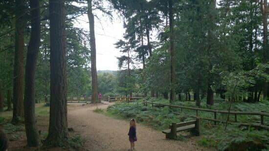 Woodland Trails