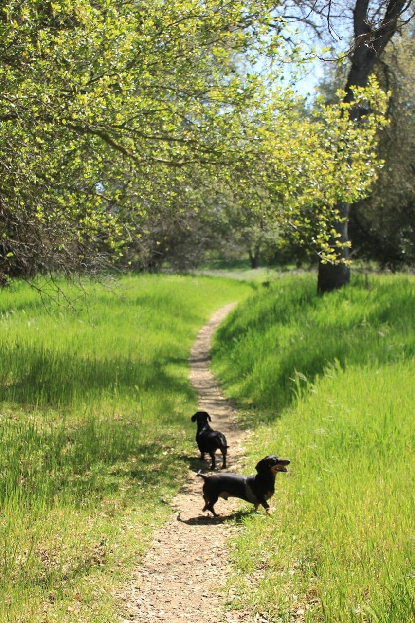Effie Yeaw Nature Center