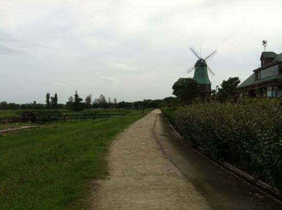 Winter Illuminations