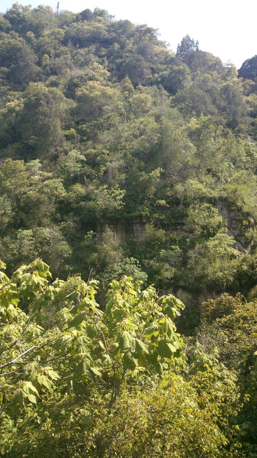 The Stone Staircase