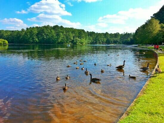 Biking Trails