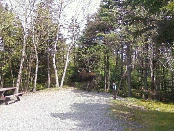 Scenic Walking & Biking Trails