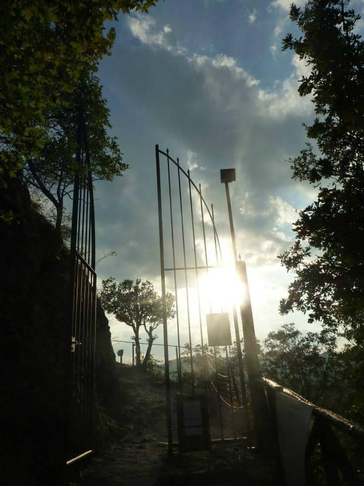 Vertical photo