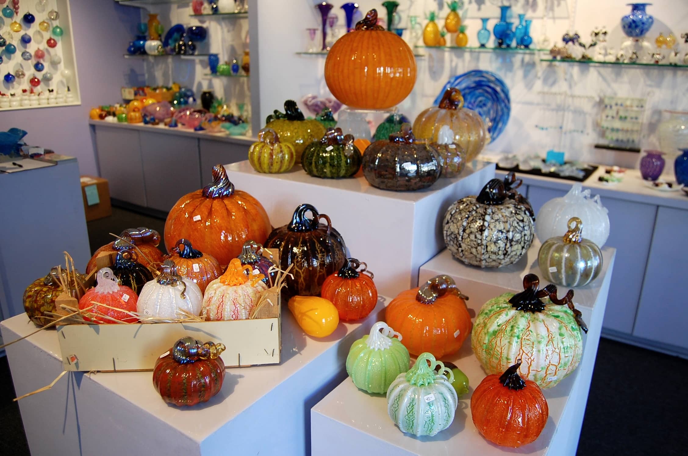 Coastal Pumpkin Creation