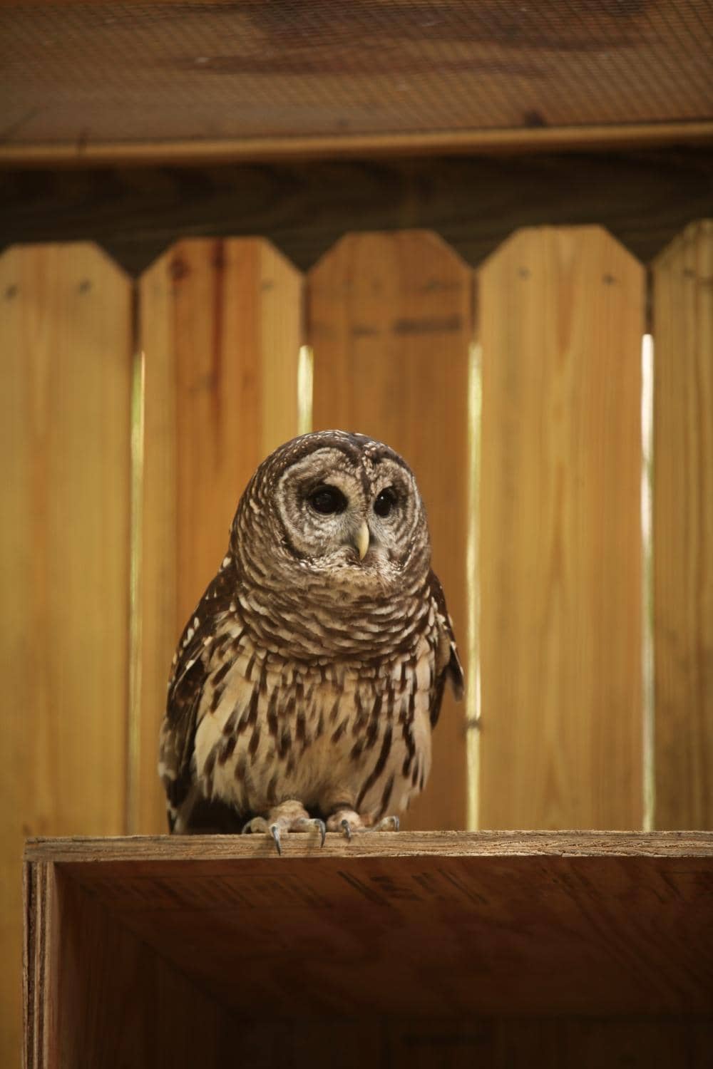 Scenic Nature Trails