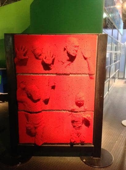 Outdoor Playgrounds & Gardens