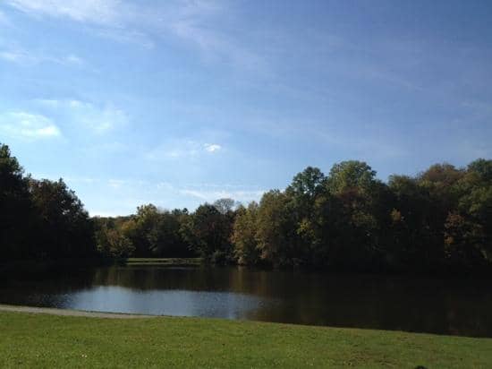 Go Ape Treetop Adventure