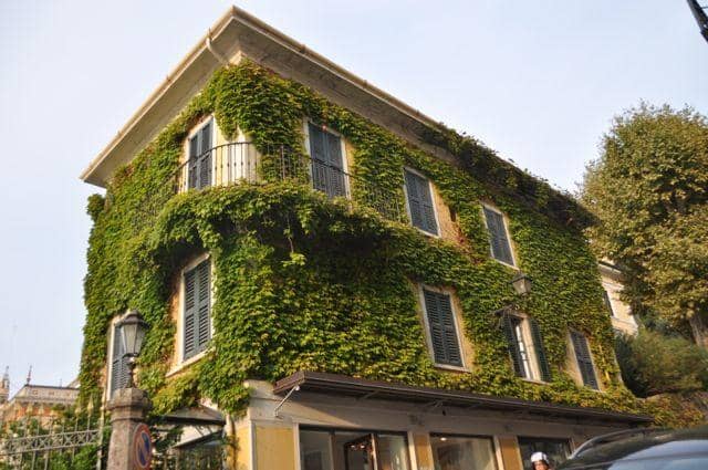 Bologna's Cultural Pulse