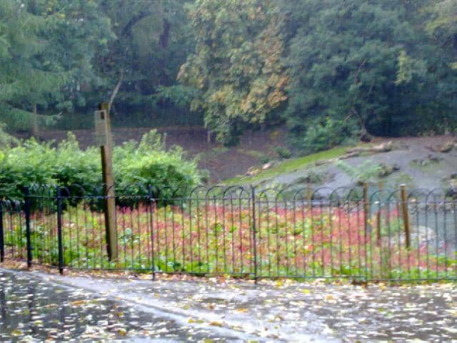 Outdoor Fitness Zone