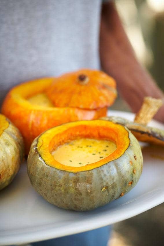 Cozy Atmosphere & Garden Vibes