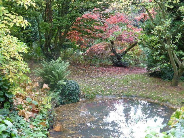Japanese Garden