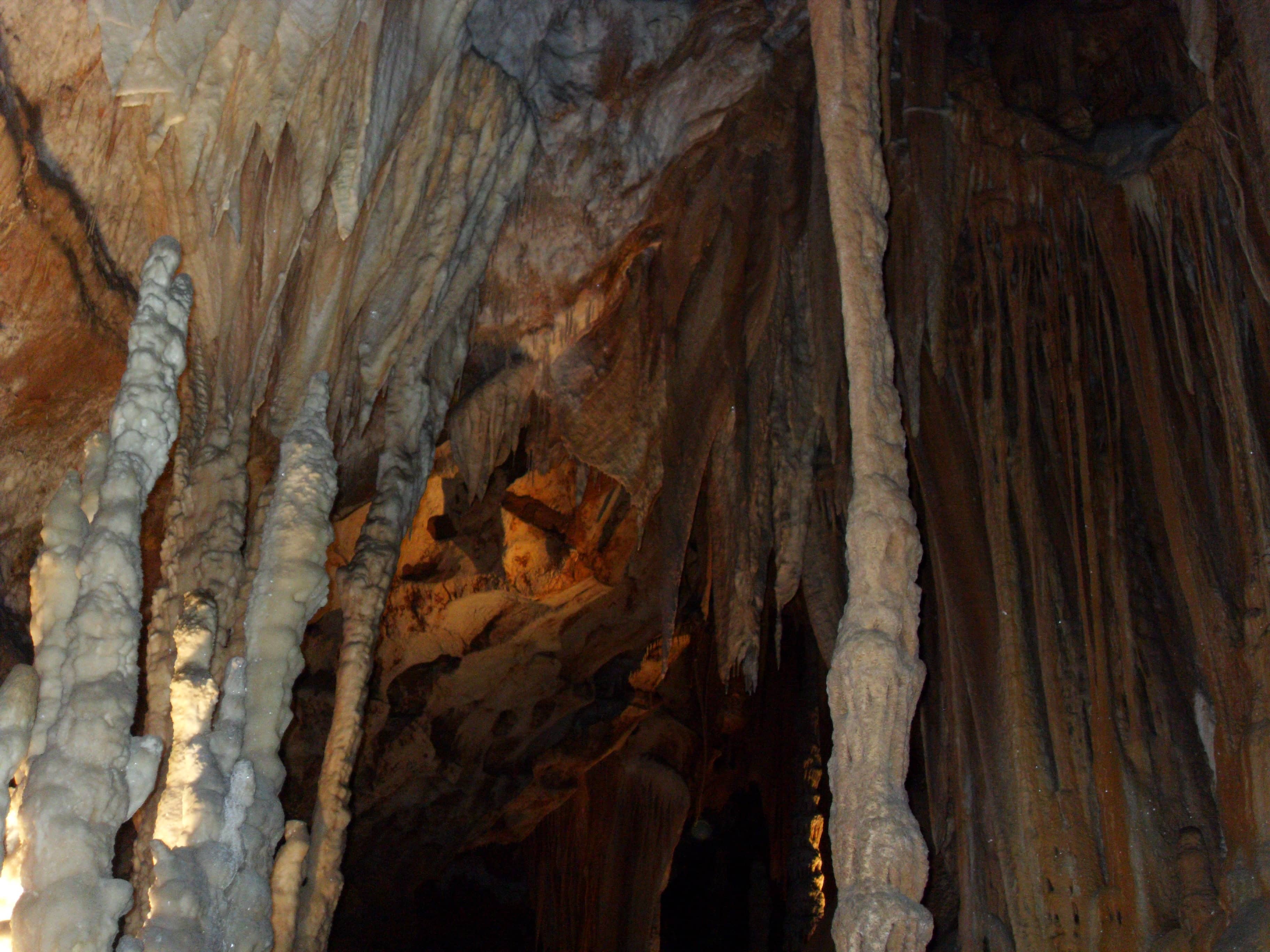 Prehistoric Footprints & Skeletons