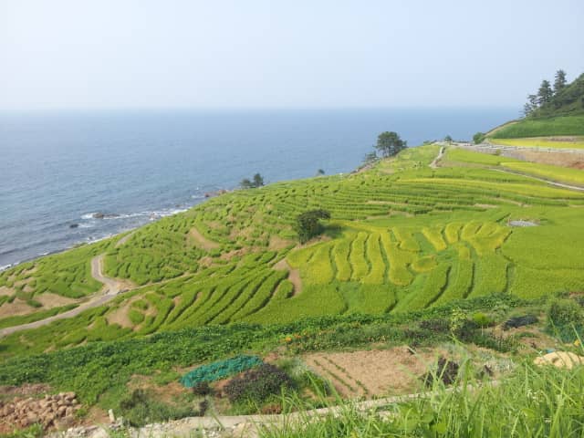 Coastal Sea Vistas