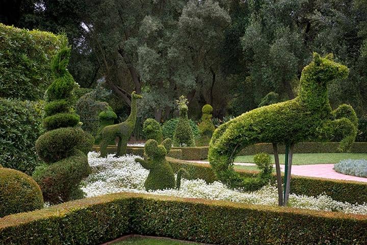 The Iconic Lotus Ponds
