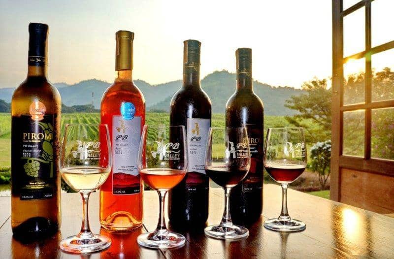 Grape Picking Experience