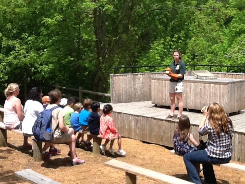 Interactive Petting Zoo