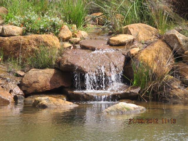 Botanical Gardens & Sculptures