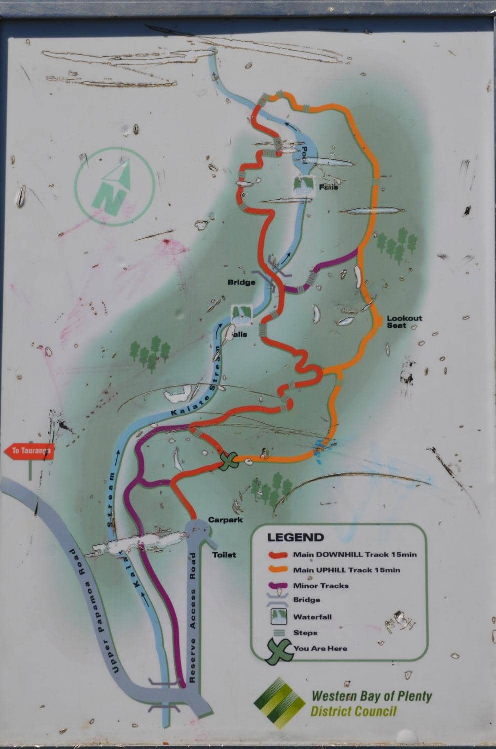 Scenic Bush Walk
