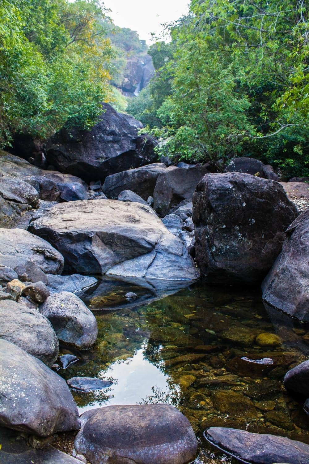 Natural Pools