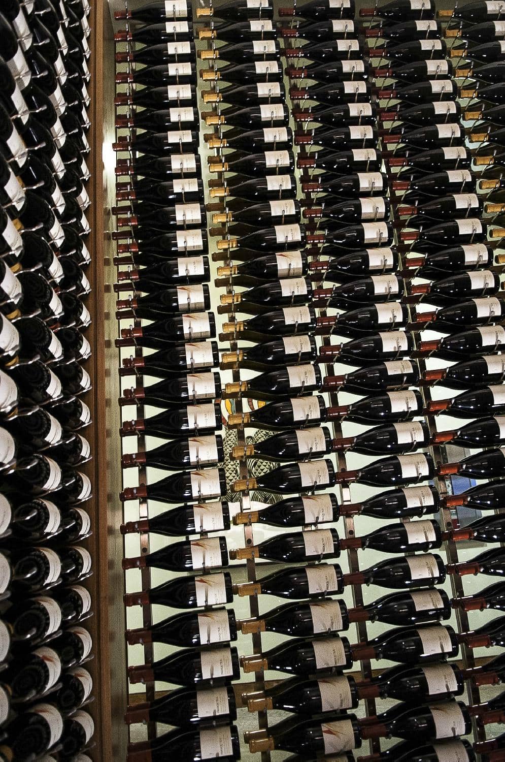 Vineyard Horseback Riding