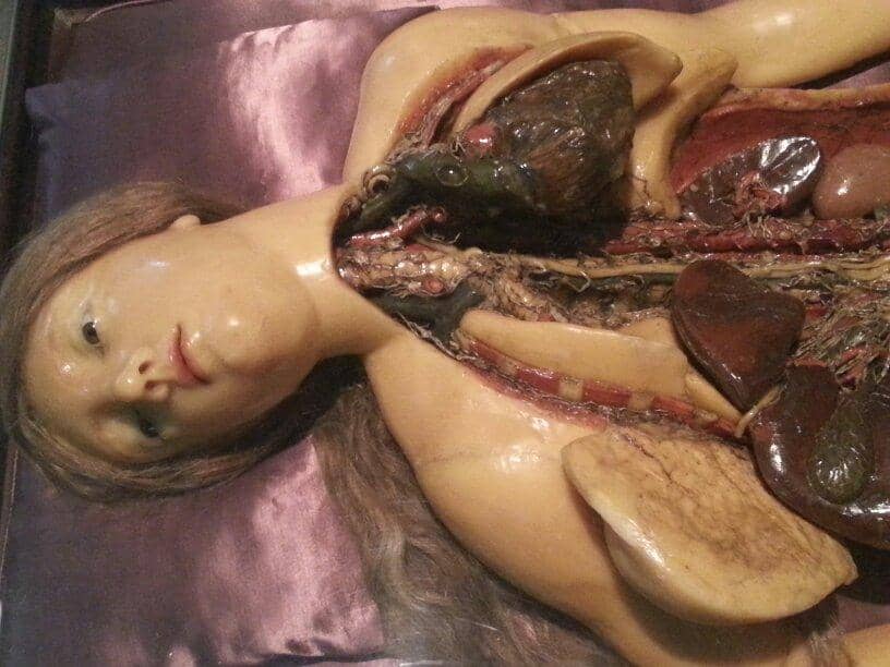 Ignaz Semmelweis's Birthplace