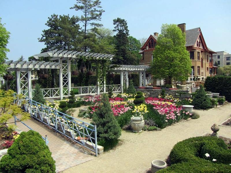 Diverse Plant Collections