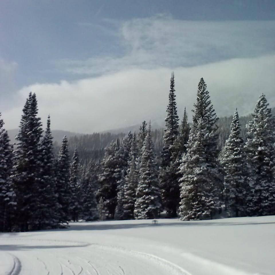 Biathlon Training