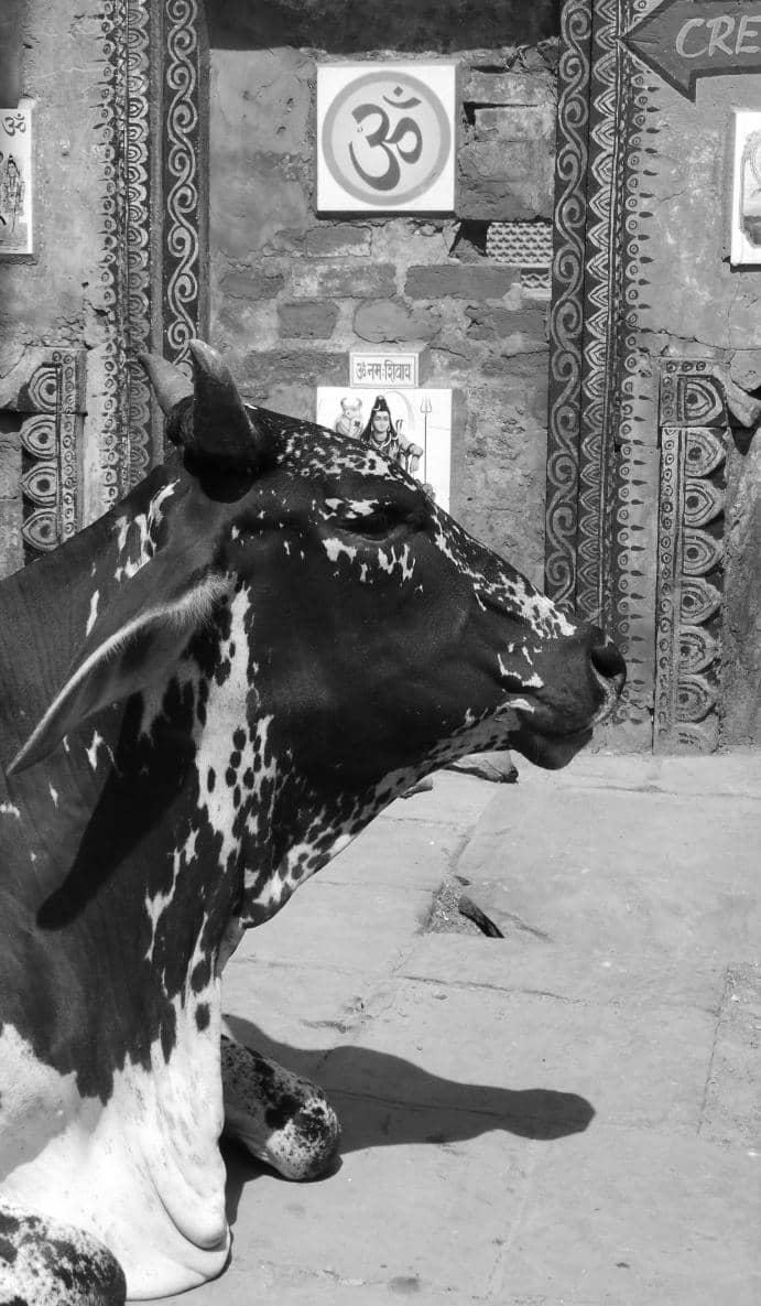 Boat Ride on the Ganges