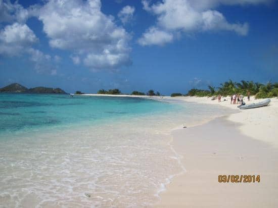 Vibrant Coral Reefs
