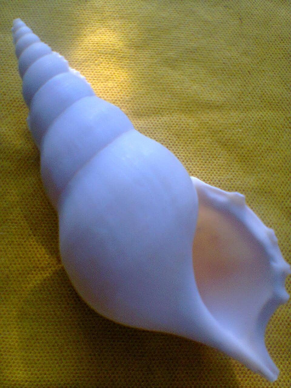 Mesmerizing Sunrise Views