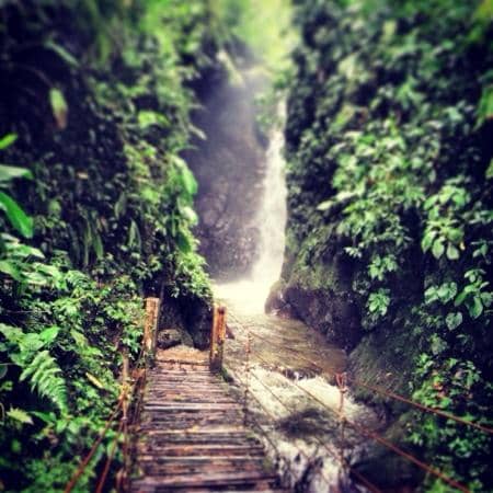 Natural Swimming Pools