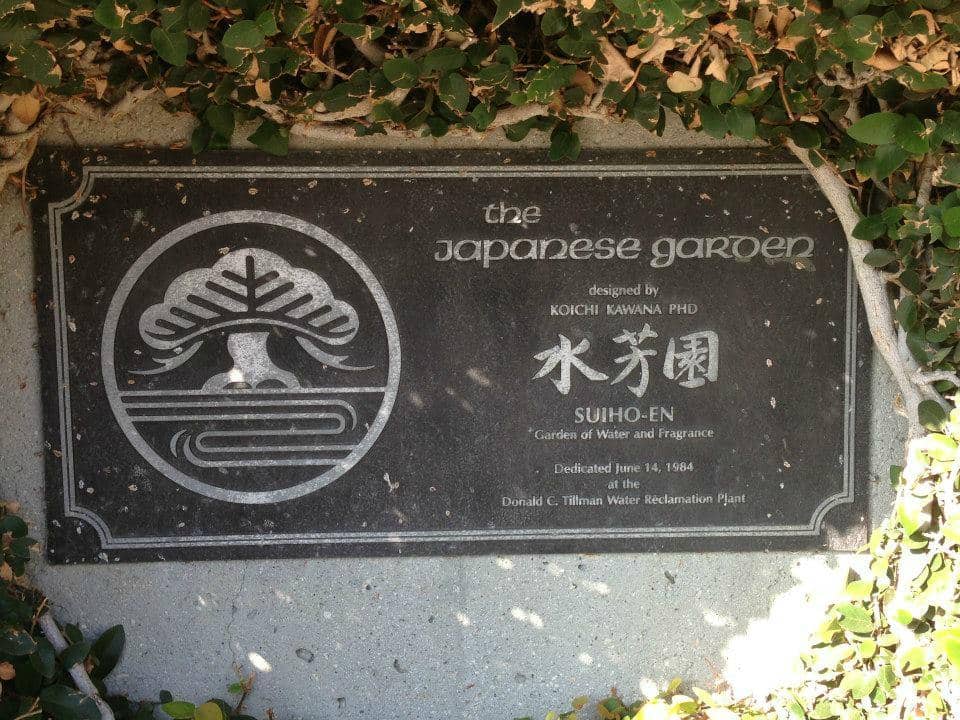 Abundant Coral and Reef Fish