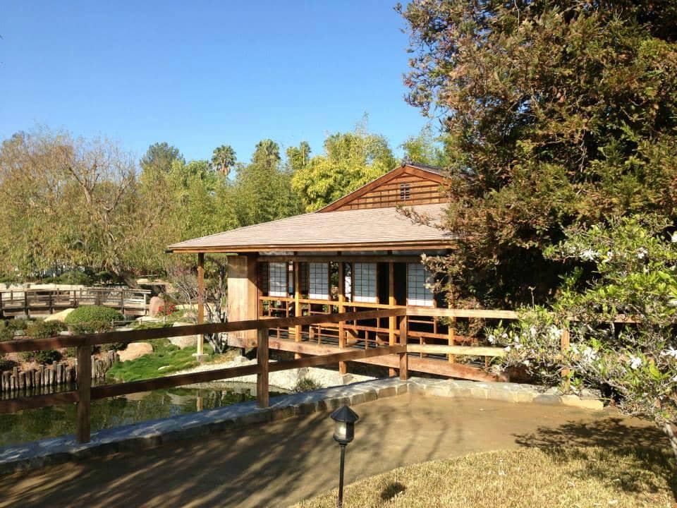 Marine Life Encounters