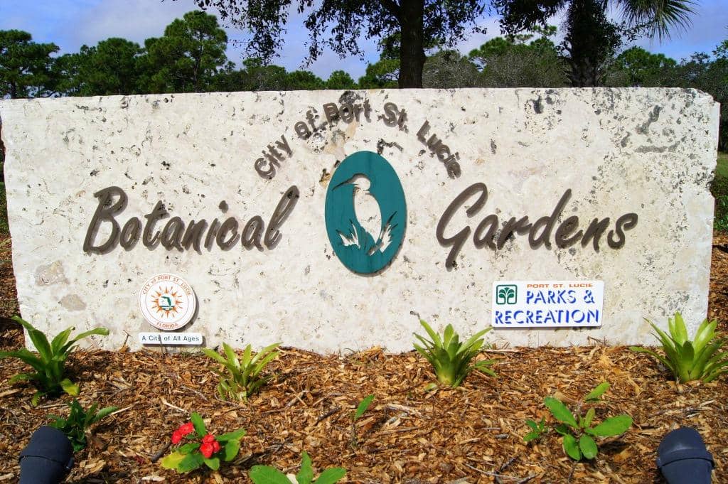 Dog-Friendly Exploration