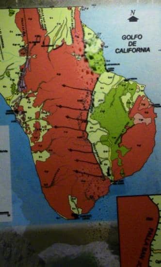 Geological History Exhibits