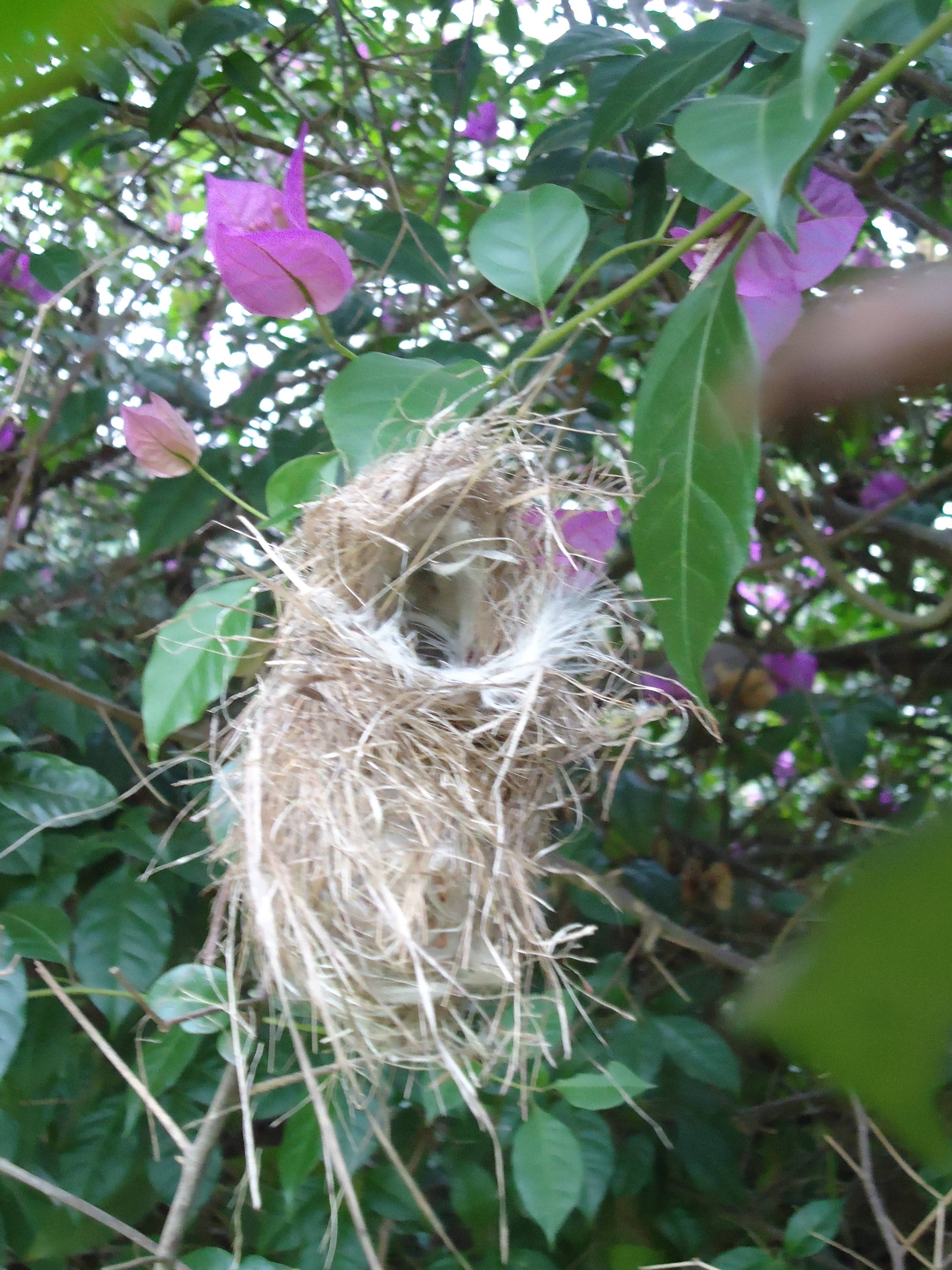 Karen Blixen's Farmhouse