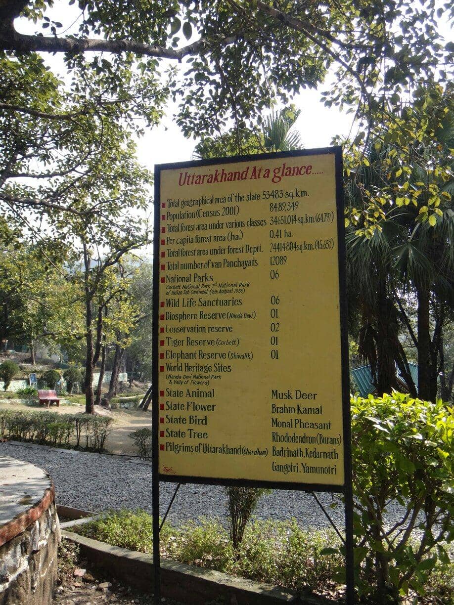 Children's Play Area