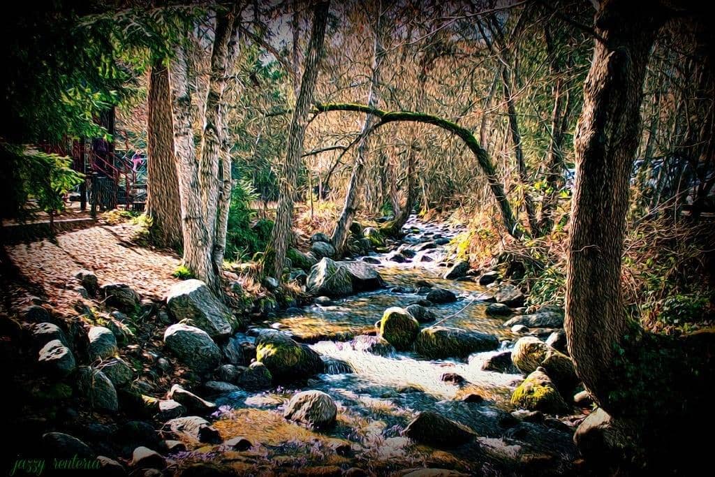 Ashland Creek
