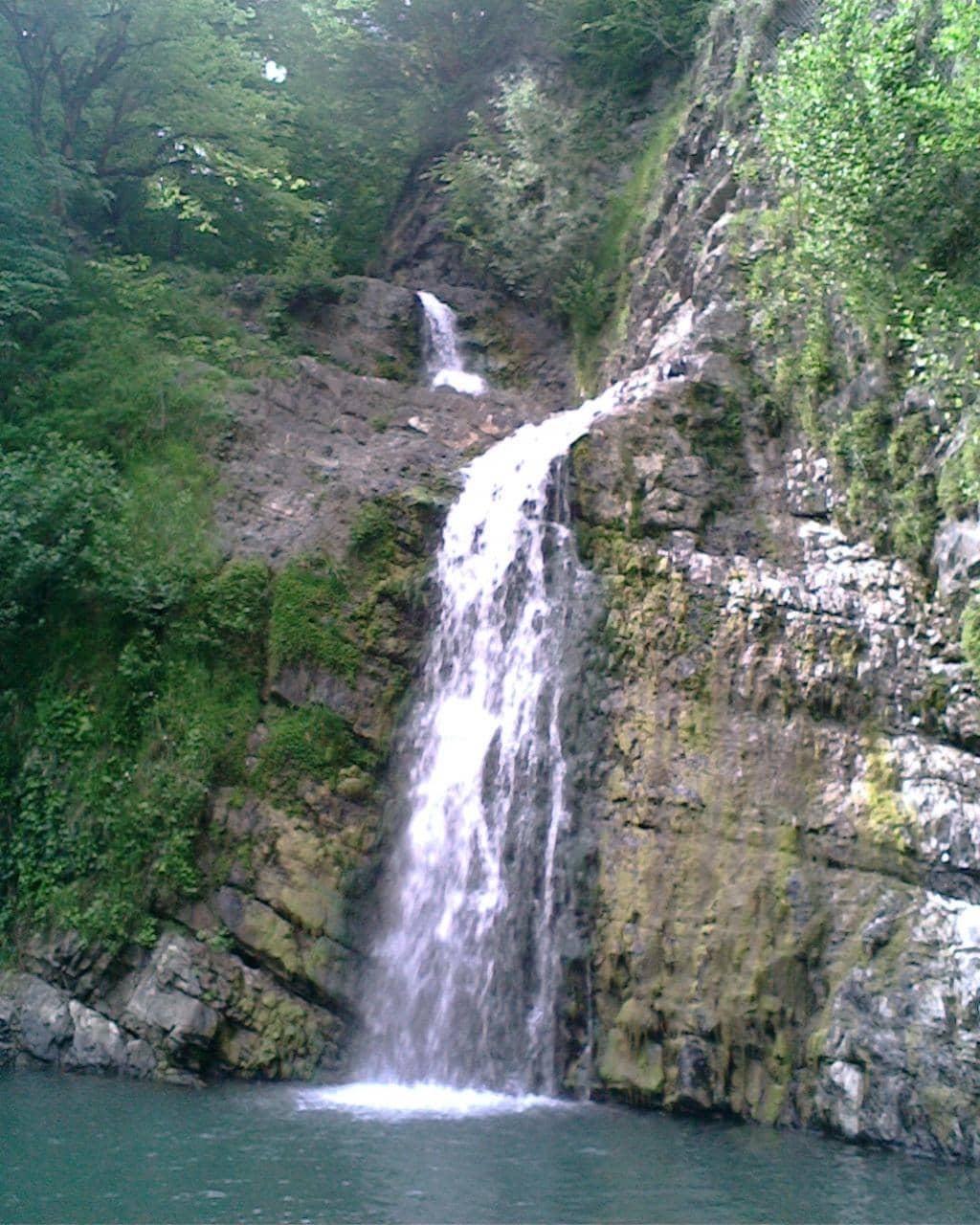 Vertical photo
